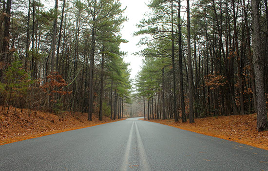 Location in the state of North Carolina